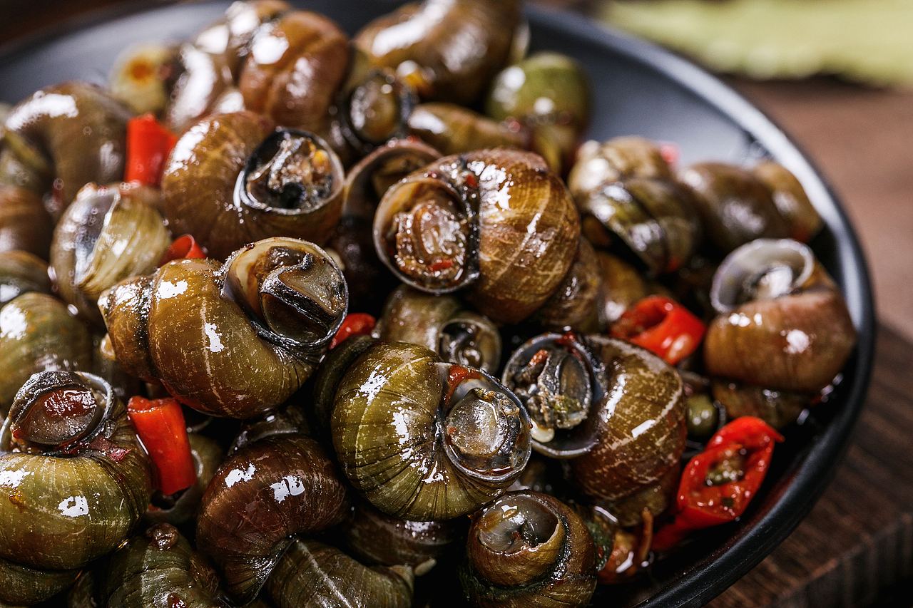 仙贝|花蛤|蒜泥生蚝|八爪鱼|蟹钳|对虾|花雕醉蟹|螺蛳（图ZMjExMDgwNTAw） - 产品摄影 - 站酷设计师烟台美食摄影师酋原创素材 - 站酷ZCOOL