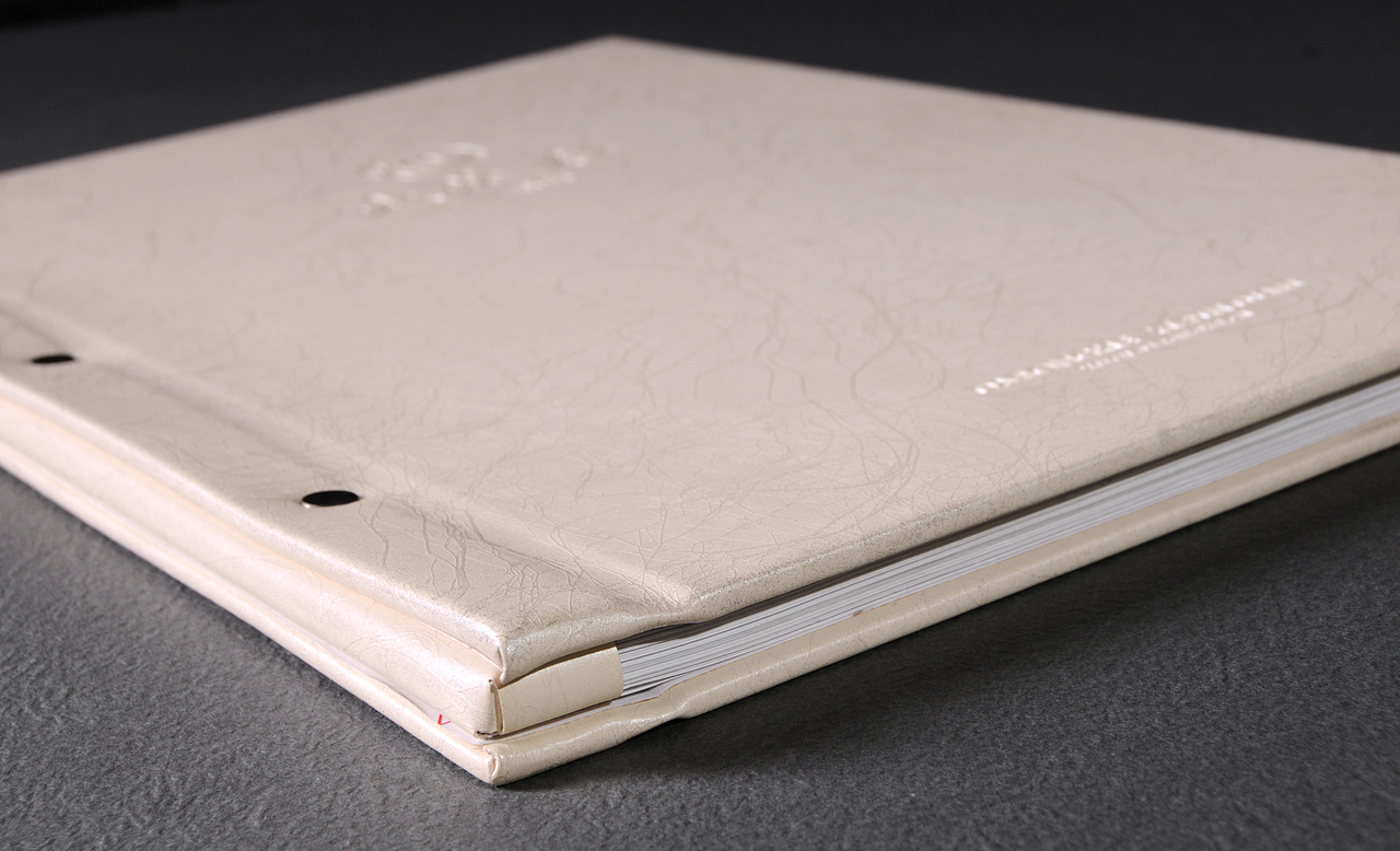 绵阳大蓉和中餐酒楼菜谱设计制作|捷达菜谱设计公司