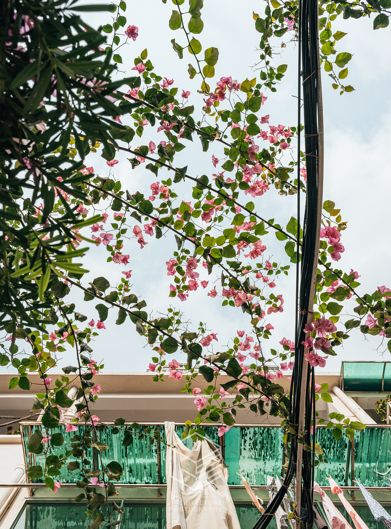 街头摄影|拍好广州-大街小巷系列(4.6日更新)