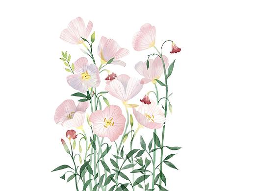 临摹练习-插画动物和植物