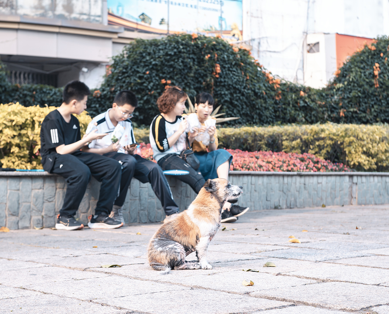 个人三月扫街合集（图ZMjQ5Mzk1NDEy） - 人文/纪实摄影 - 站酷设计师想念与挂念原创素材 - 站酷ZCOOL