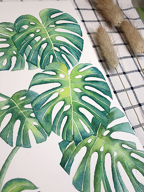 绿油油的龟背叶-水彩画