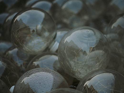 初春的清晨 小品摄影（个人主页-ZNDQ3ODEyNDQ=） - 人文/纪实摄影 - 站酷设计师Franais原创素材 - 站酷ZCOOL