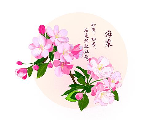 海棠花/忘忧草