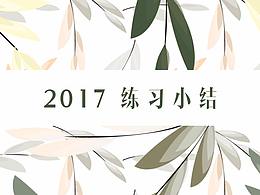 2017练习小结