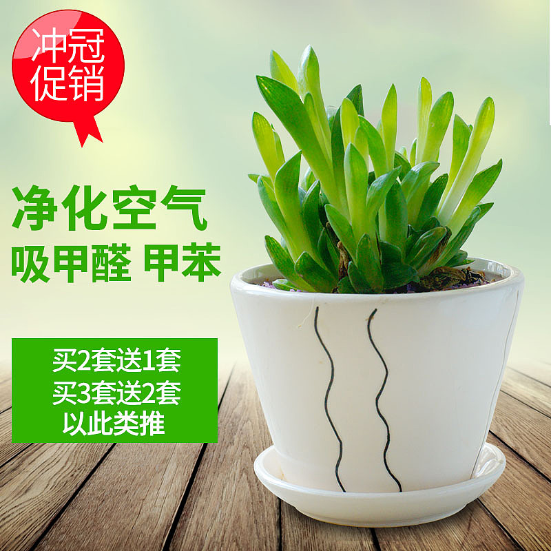 直通车（图ZMTM1NDQzMjMy） - 生活用品 - 站酷设计师invincible6原创素材 - 站酷ZCOOL