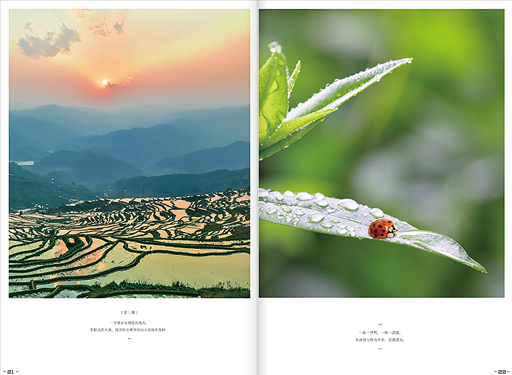 画册设计（图ZNTIwNzUxNDg=） - 书籍/画册 - 站酷设计师程中华原创素材 - 站酷ZCOOL