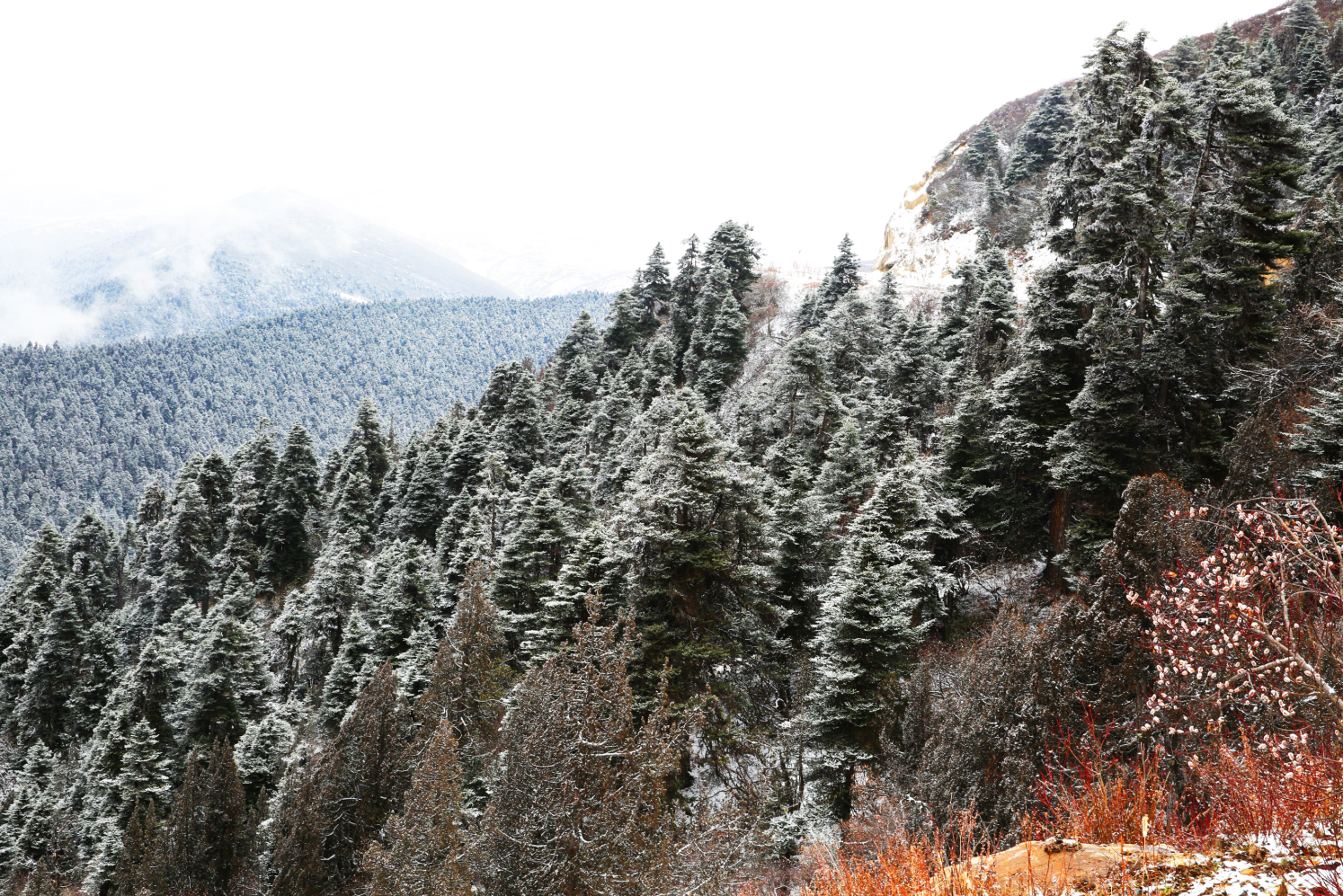 拾壹的大雜院兒的個(gè)人主頁（封面預(yù)覽） - 主頁封面設(shè)置 - 站酷設(shè)計(jì)師拾壹的大雜院兒原創(chuàng)素材 - 站酷ZCOOL