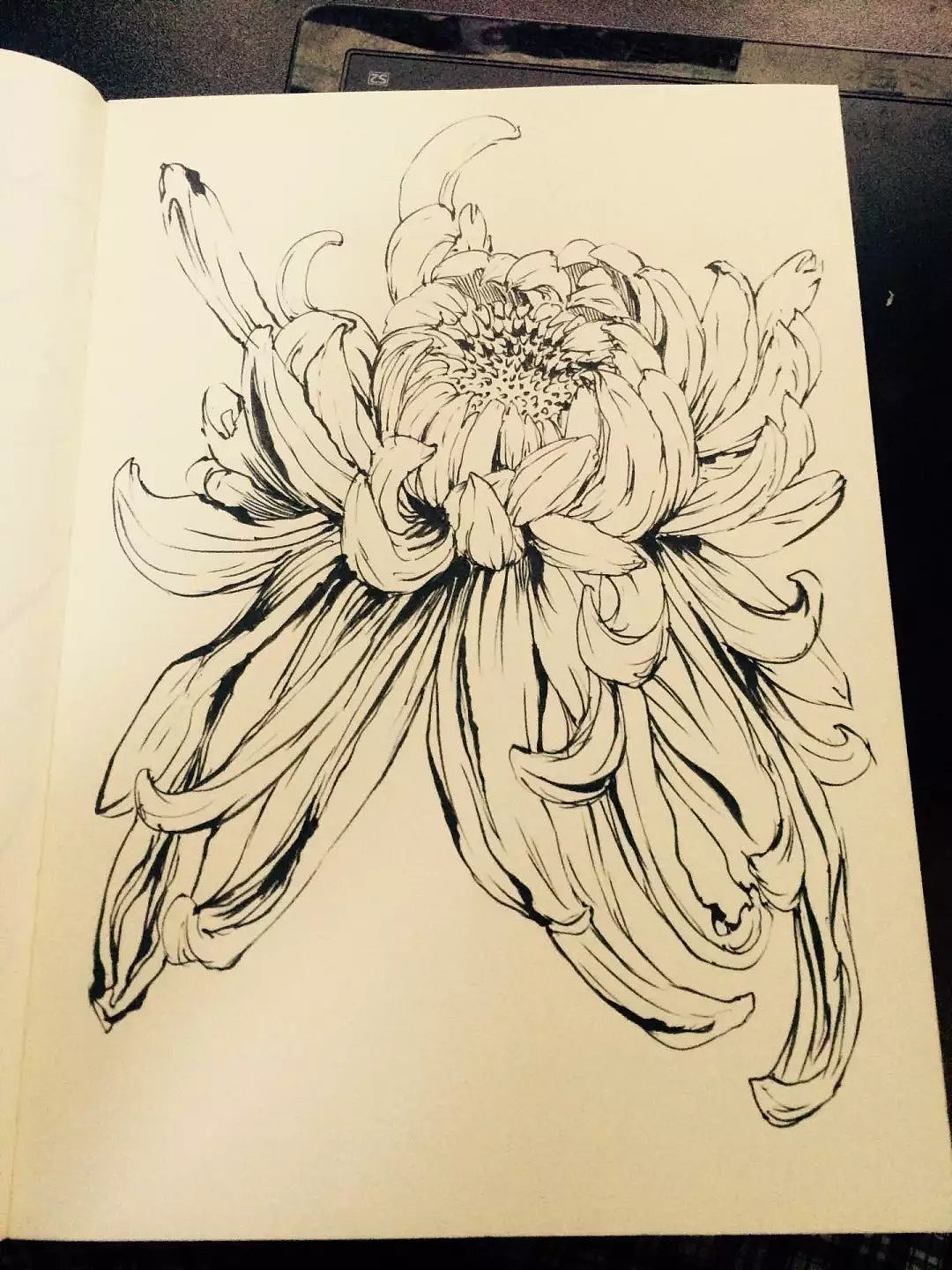 软头毛笔风情画