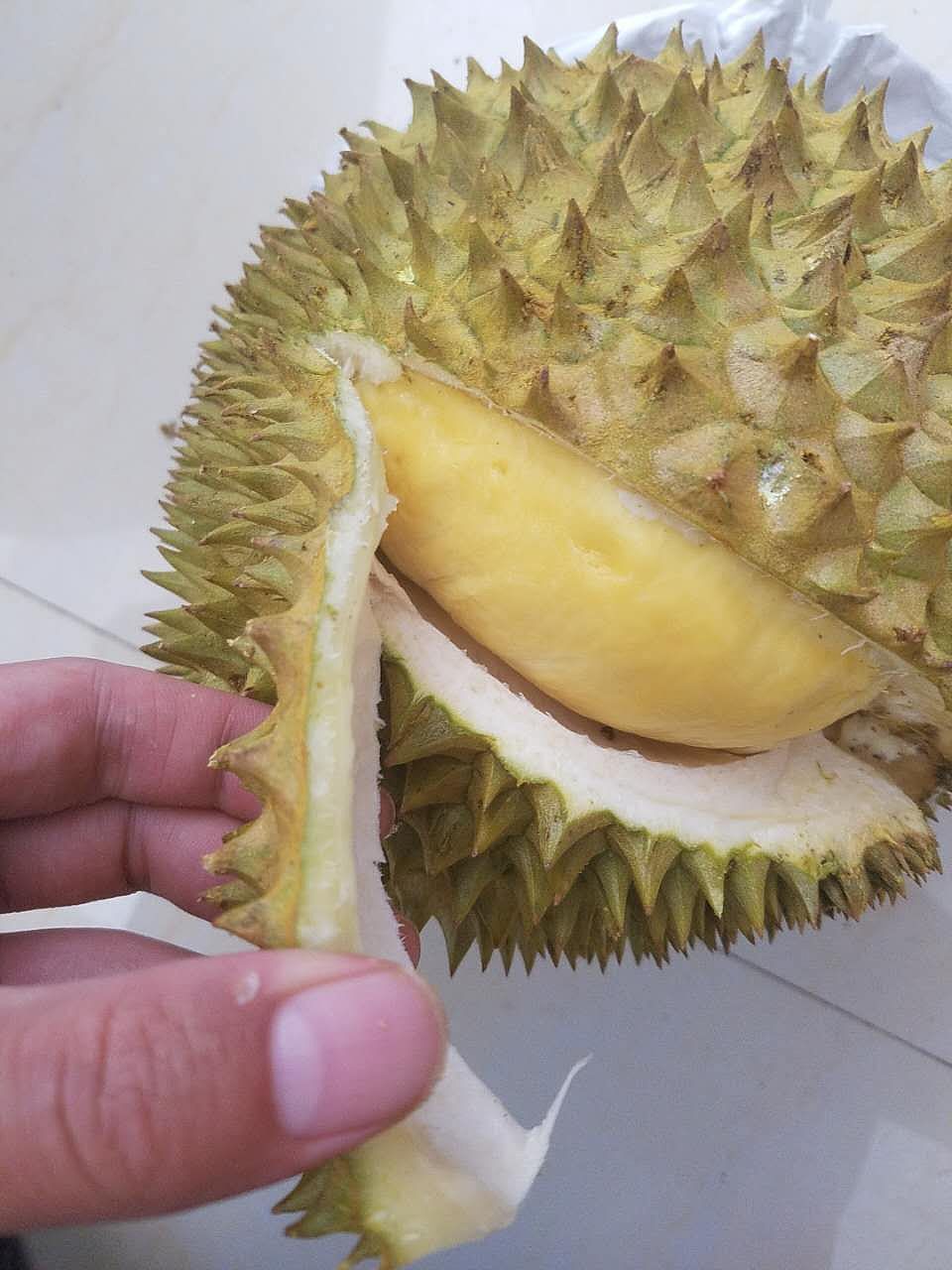 老男人果品老挝猫山王苦咖菲猫榴莲