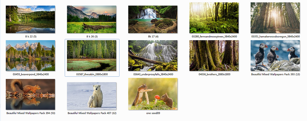 端午节快乐~ 合成