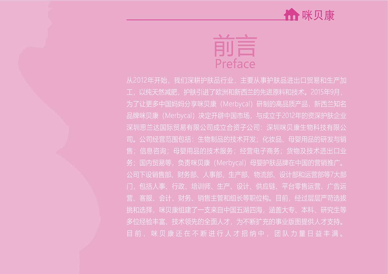 VI视觉识别规范手册