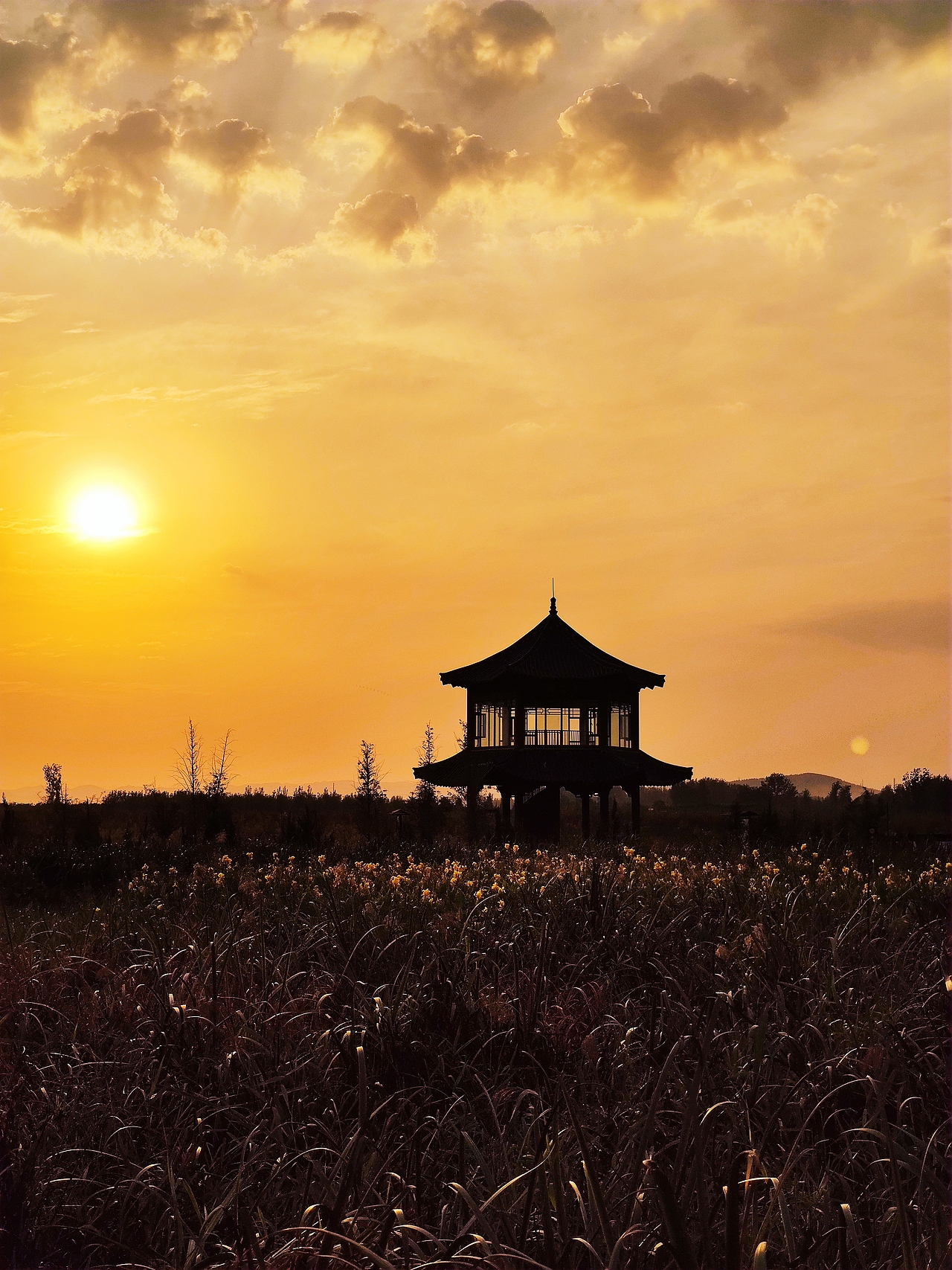 手机摄影（图ZMjI1ODI0Mjg0） - 风光摄影 - 站酷设计师OldMen郑斌原创素材 - 站酷ZCOOL