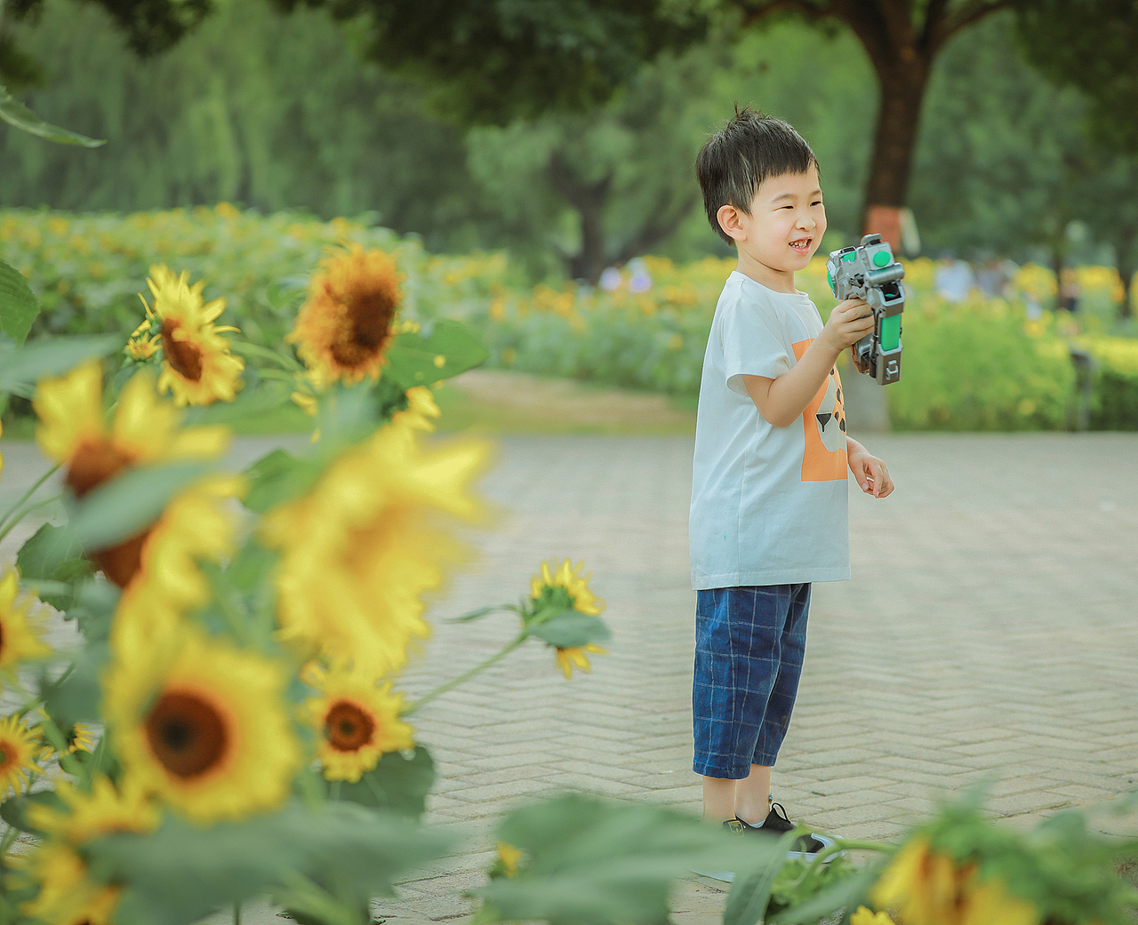 小希学长拍娃记 | 葵园童趣