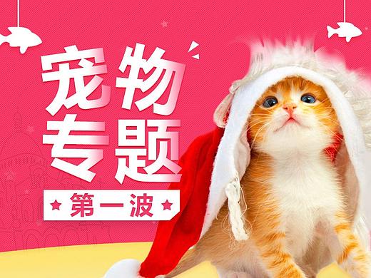 宠物电商专题集合 第一波