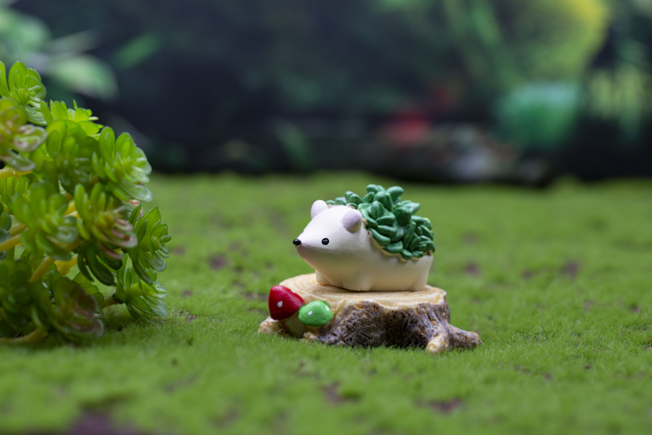 静物摄影 产品摄影 淘宝产品摄影 亚马逊产品摄影 潮玩（图ZMjA2MzU1ODI0） - 产品摄影 - 站酷设计师REOREOO原创素材 - 站酷ZCOOL