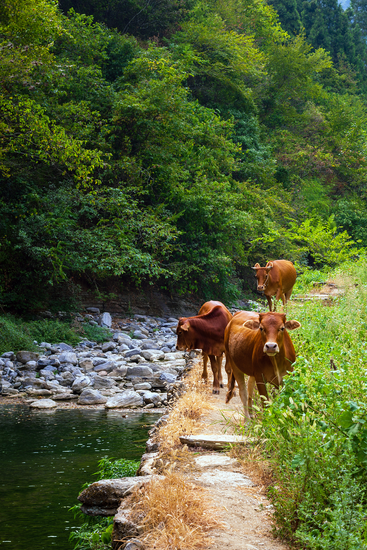 山野溪谷（图ZMzE0NTAyNDU2） - 其他摄影 - 站酷设计师无所谓对错原创素材 - 站酷ZCOOL