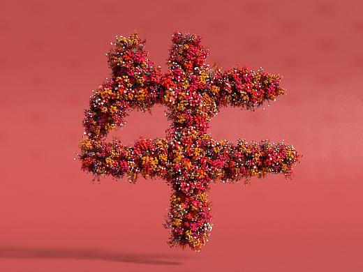 春节特辑:赛博花见2050