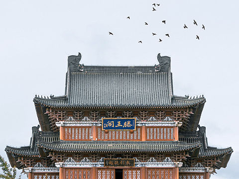 与你的回忆只能在时光里相遇