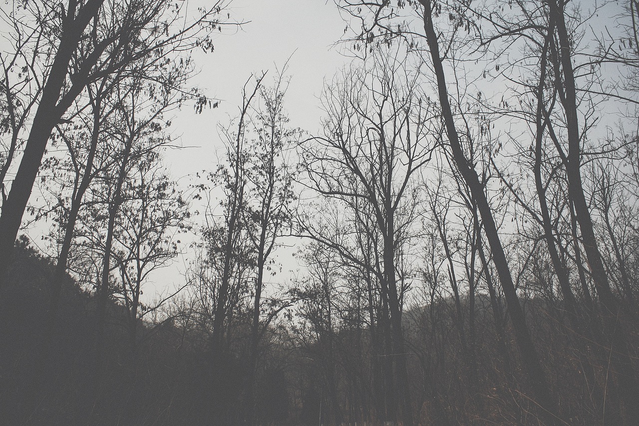 午休公园转一圈