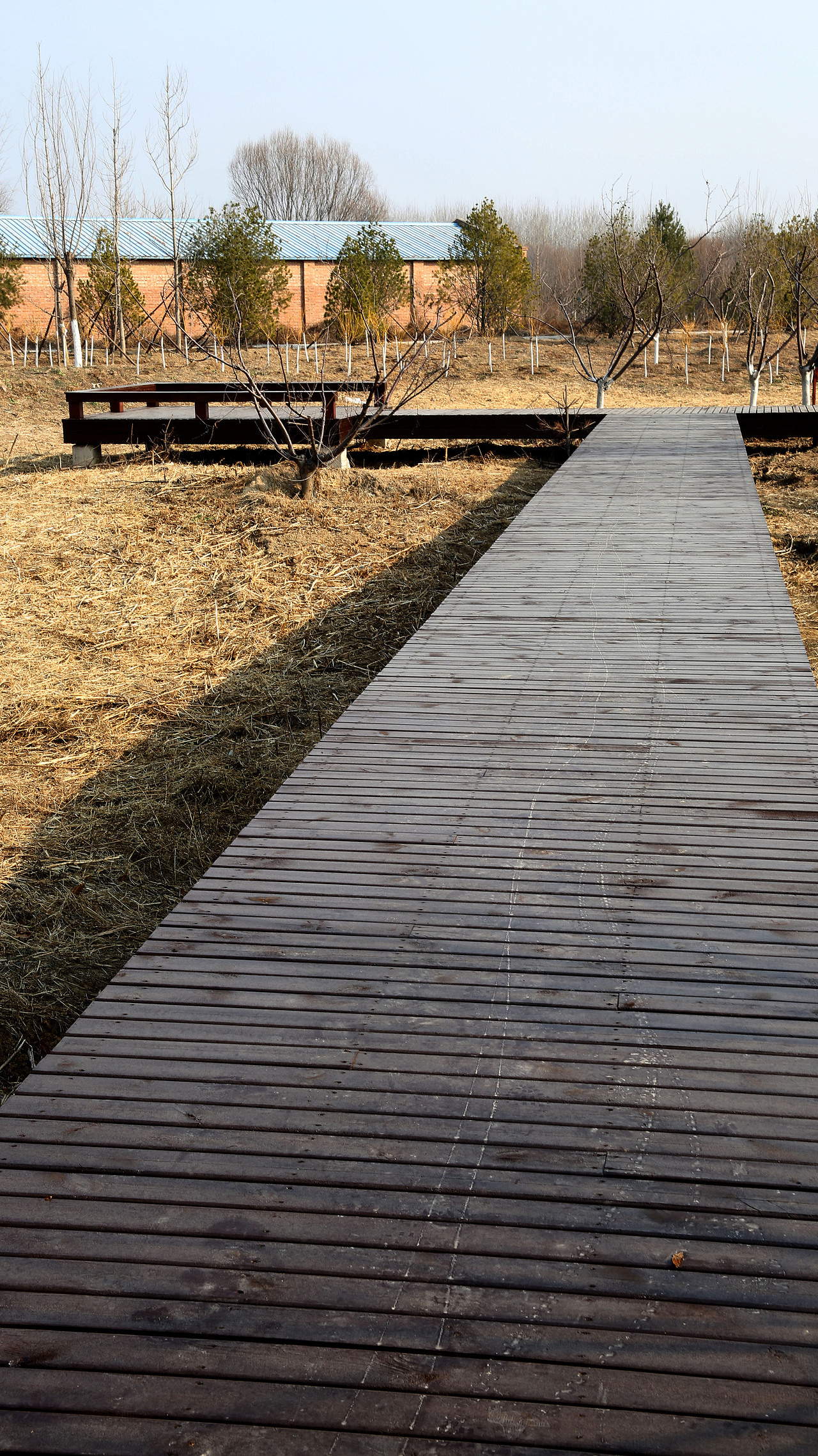 台湖万亩游憩园 二期