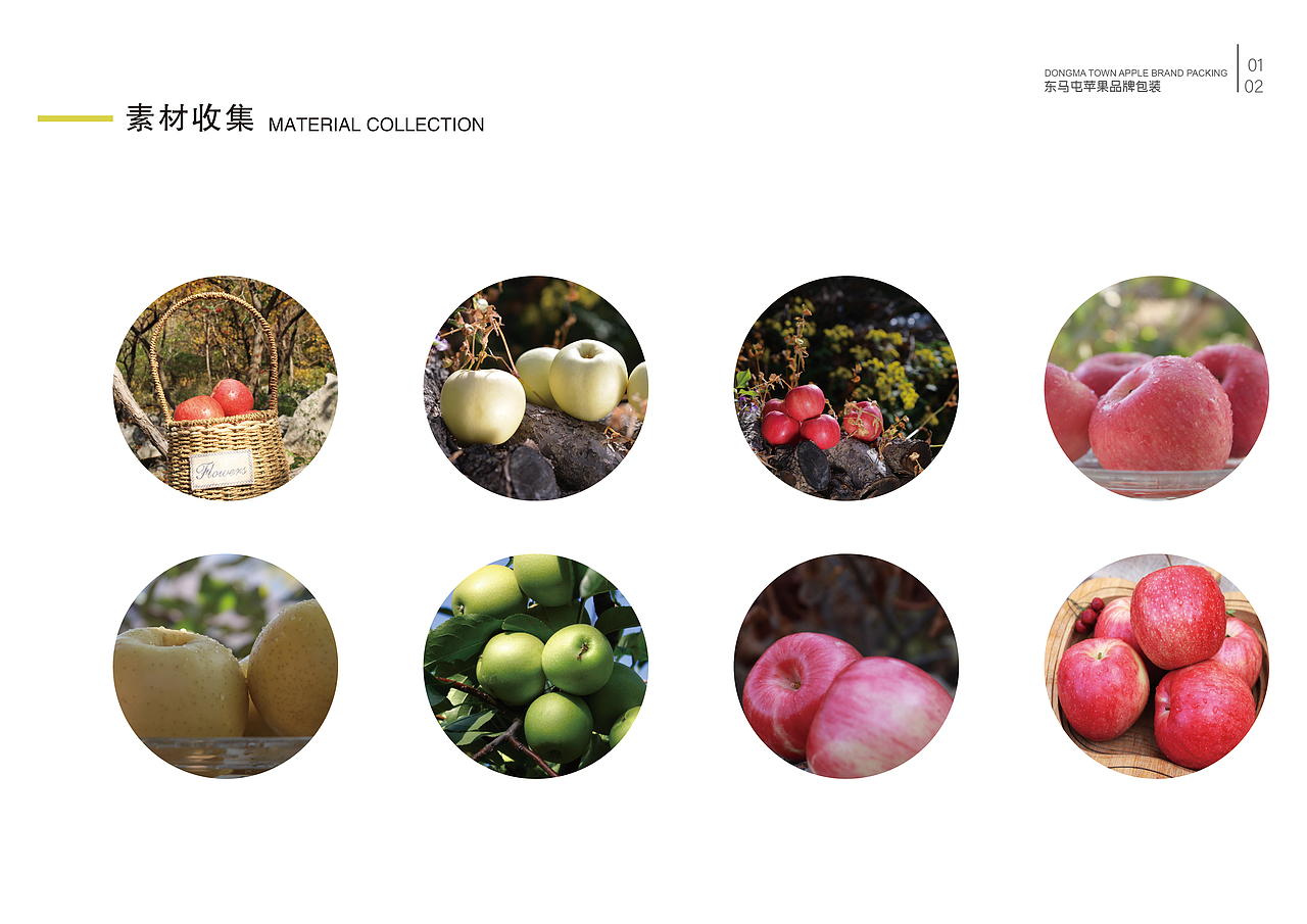 毕业手册（图ZMTY4OTc4NjA0） - 书籍/画册 - 站酷设计师zln张丽娜原创素材 - 站酷ZCOOL