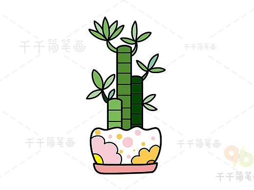 简笔画-富贵竹（个人主页-ZNDQwNzM2NTY=） - 儿童插画 - 站酷设计师抱只喵儿原创素材 - 站酷ZCOOL
