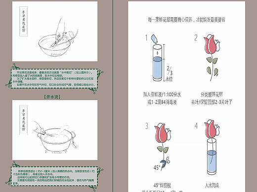 品牌-胡桃里音乐酒馆植物养护及观察