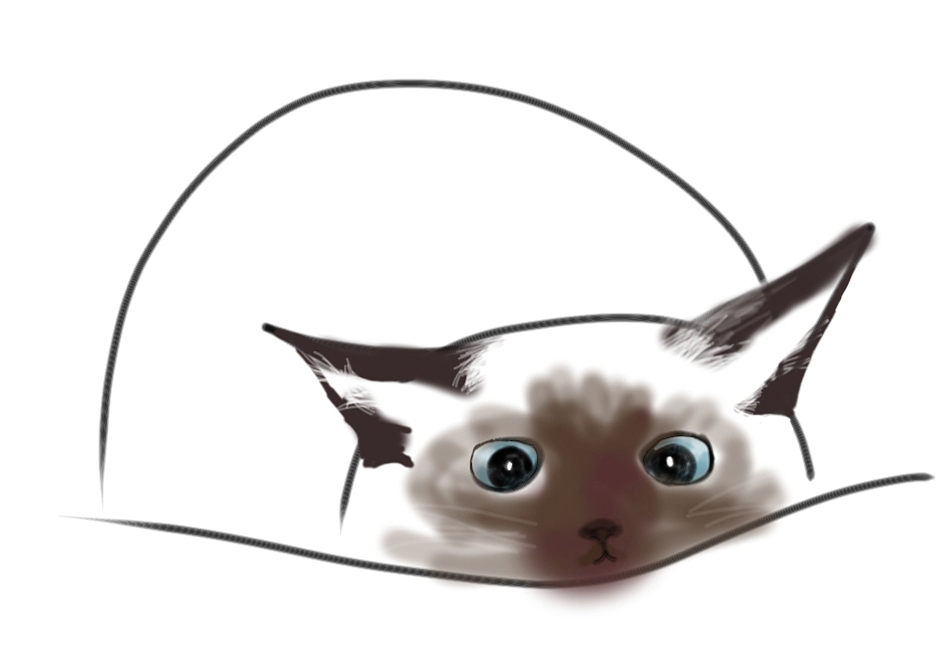 泥的日记|认真的豆泥（图ZMzgxMTQ5MTA4） - 艺术插画 - 站酷设计师freeforever123原创素材 - 站酷ZCOOL