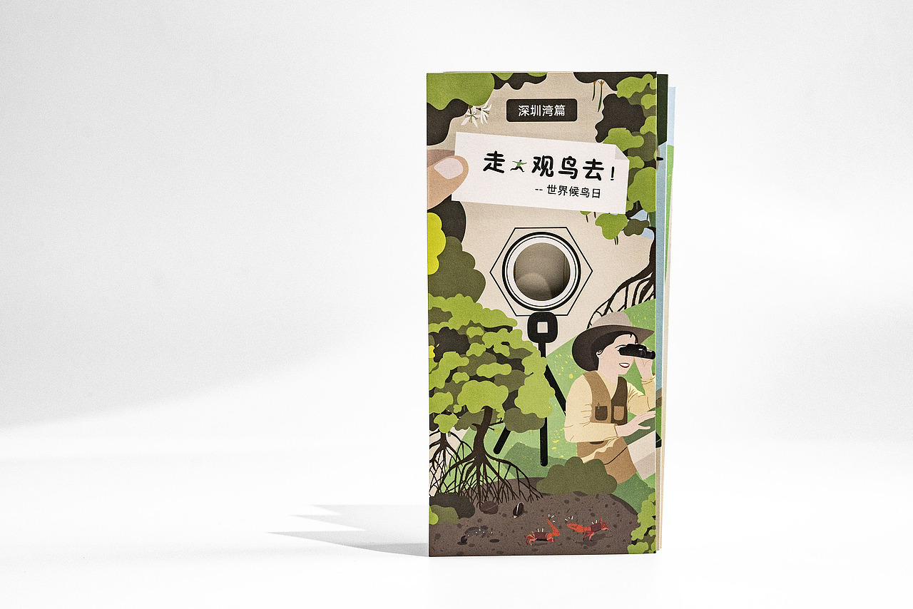 世界候鸟日-观候鸟折页及海报