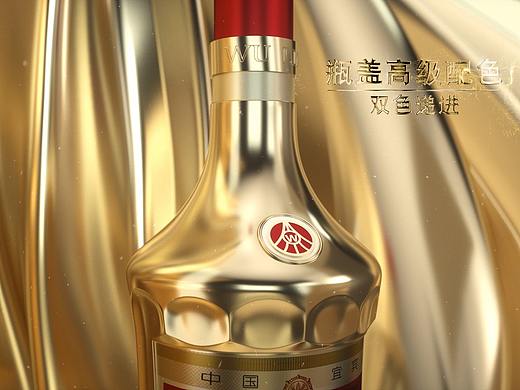 2021金装五粮液 外包装展示