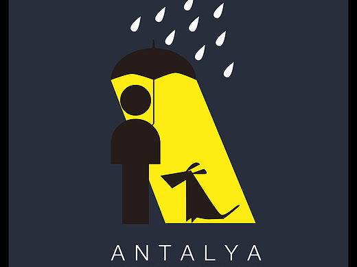 《关于流浪犬地中海君的事》