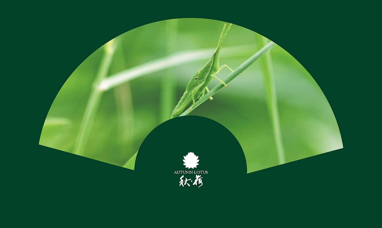 秋荷（图ZMTQ3Nzc2OA==） - 风光摄影 - 站酷设计师ARV雨后视觉原创素材 - 站酷ZCOOL