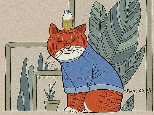 家常土猫