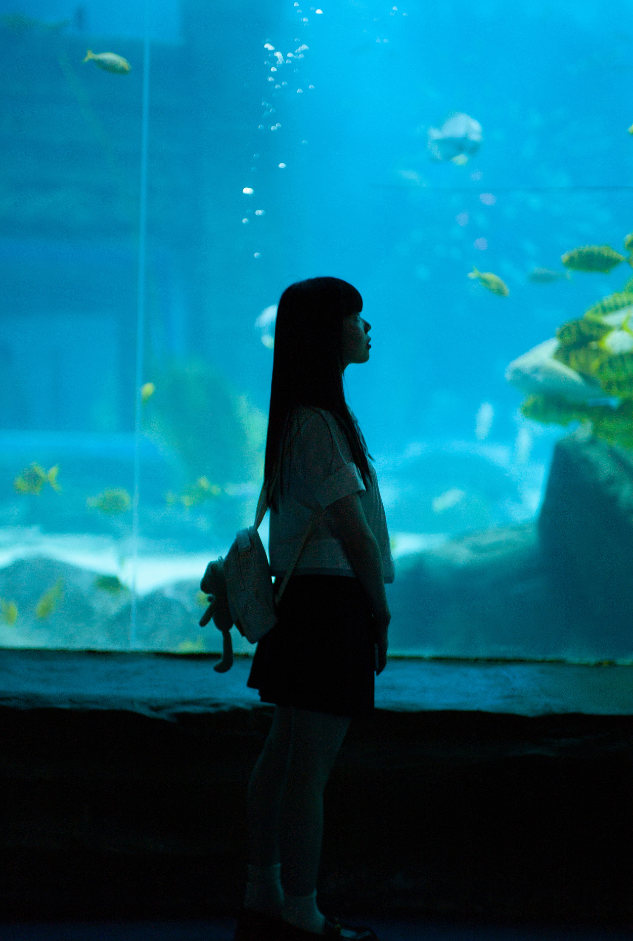 水族馆人像