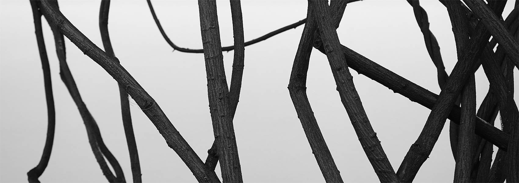 Kuanlin的個(gè)人主頁(yè)（封面預(yù)覽） - 主頁(yè)封面設(shè)置 - 站酷設(shè)計(jì)師Kuanlin原創(chuàng)素材 - 站酷ZCOOL