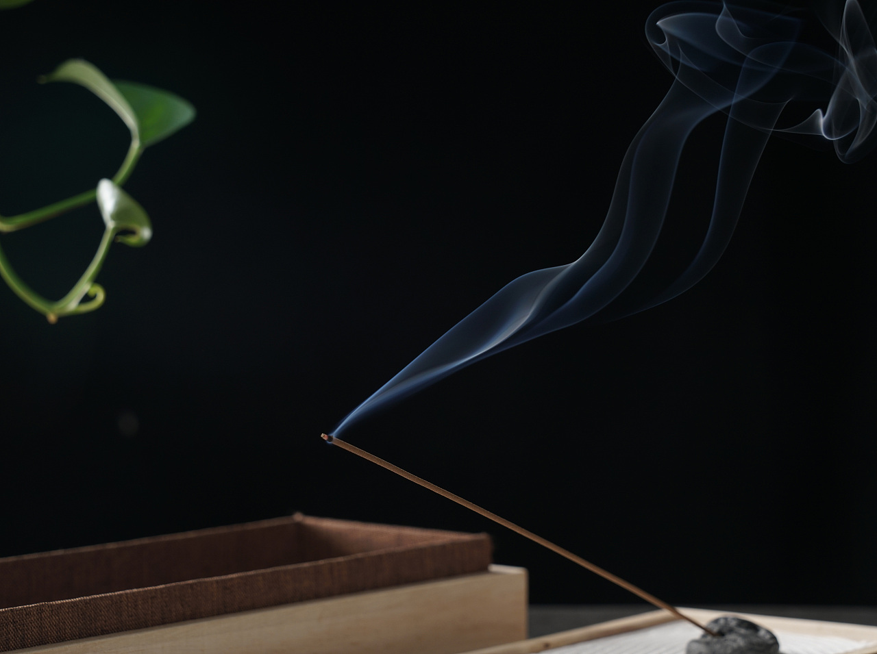 檀香- 原创作品 - 站酷(zcool)