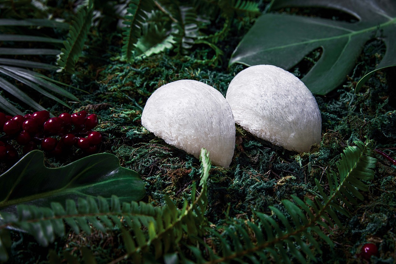 静物 燕窝（图ZMTkwMjE5NDA4） - 修图/后期 - 站酷设计师修图师小先原创素材 - 站酷ZCOOL