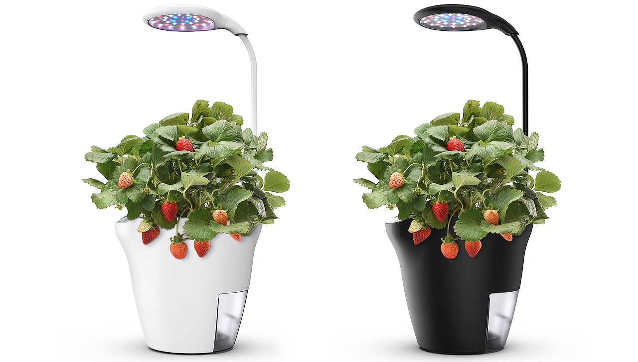 2021年最后一波图！！！（种植机、足机、跳绳等）