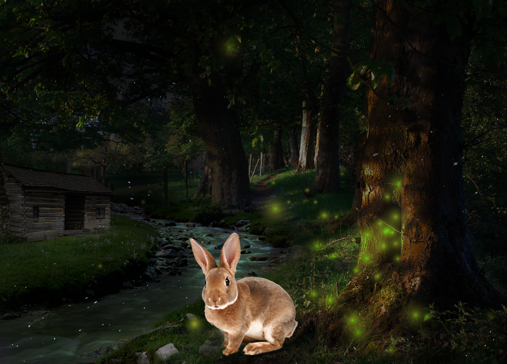 【森林里的兔子和小木屋】[修图/后期]