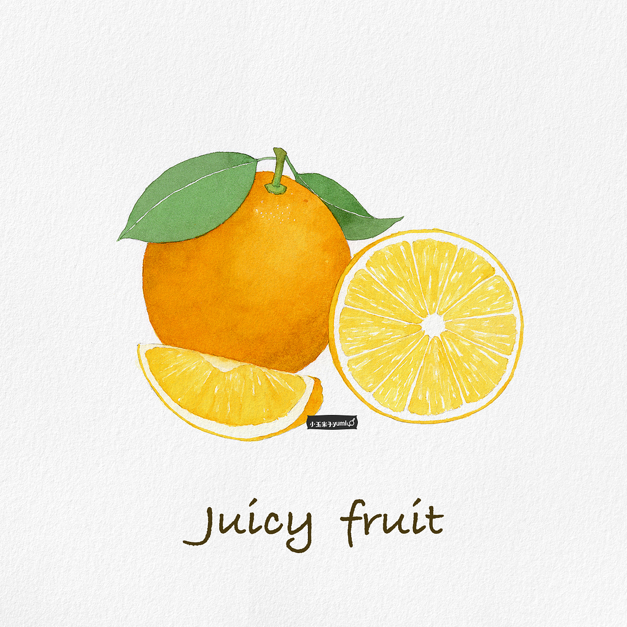 Juicy fruit看见水果系列～