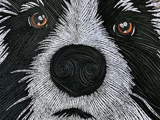 衍紙?jiān)瓌?chuàng)作品：《mango——Border collie》（個(gè)人主頁(yè)-ZNDM5MTcwMzI=） - 其他手工藝 - 站酷設(shè)計(jì)師池王思原創(chuàng)素材 - 站酷ZCOOL