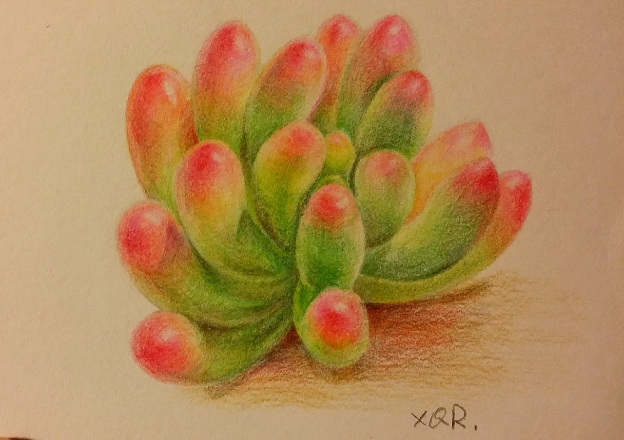 练练手,很久没画了