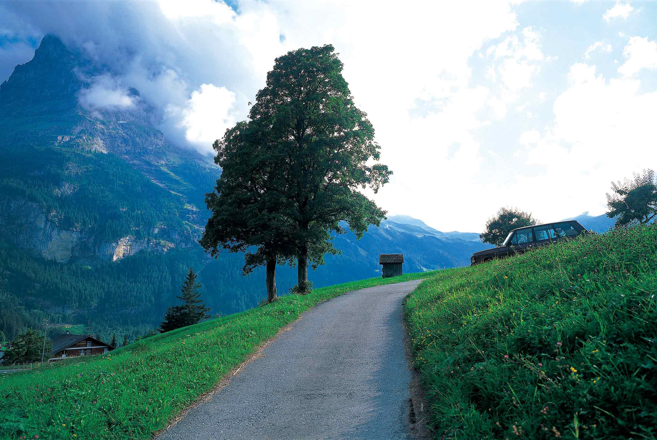 掉毛的刺猬的个人主页（背景预览） - 主页背景设置 - 站酷设计师掉毛的刺猬原创素材 - 站酷ZCOOL