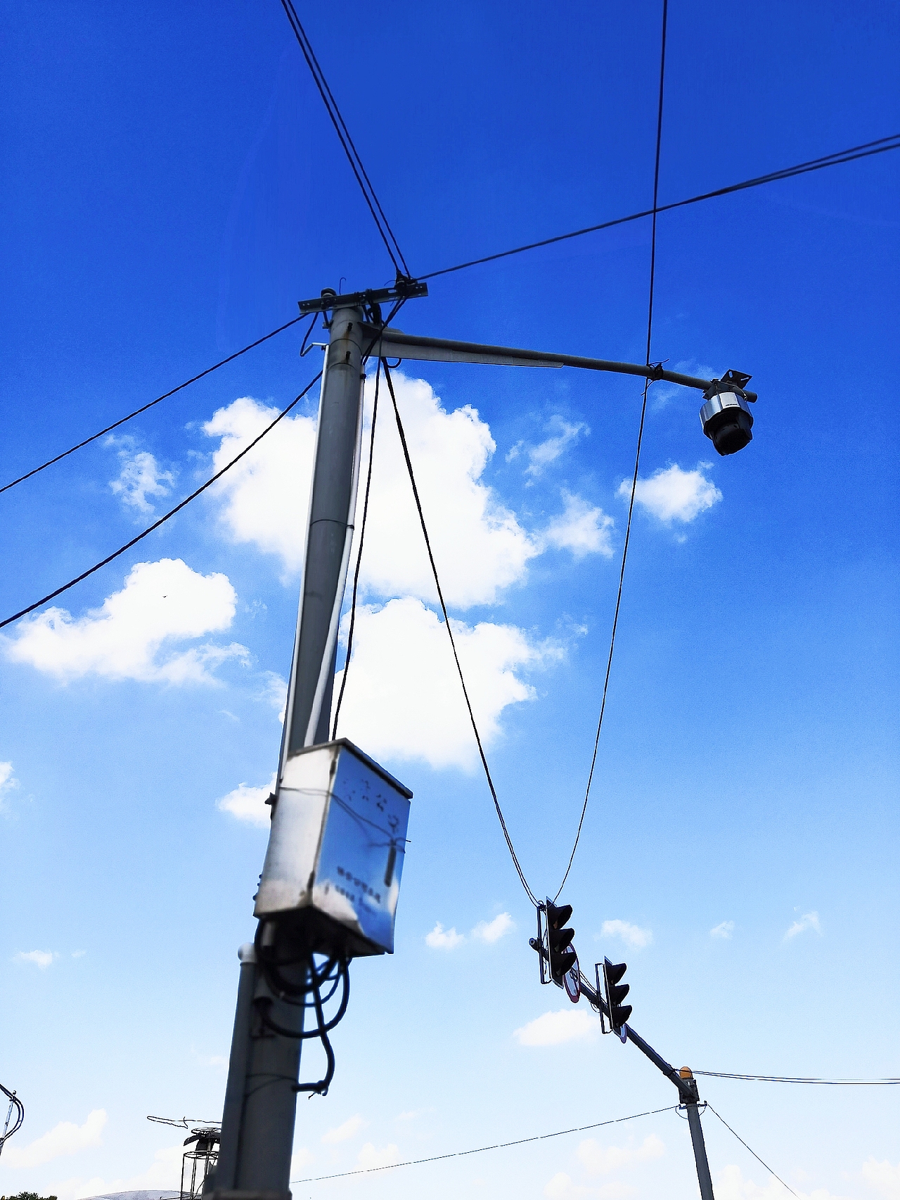 上海之海上  出游手机拍摄于奉贤