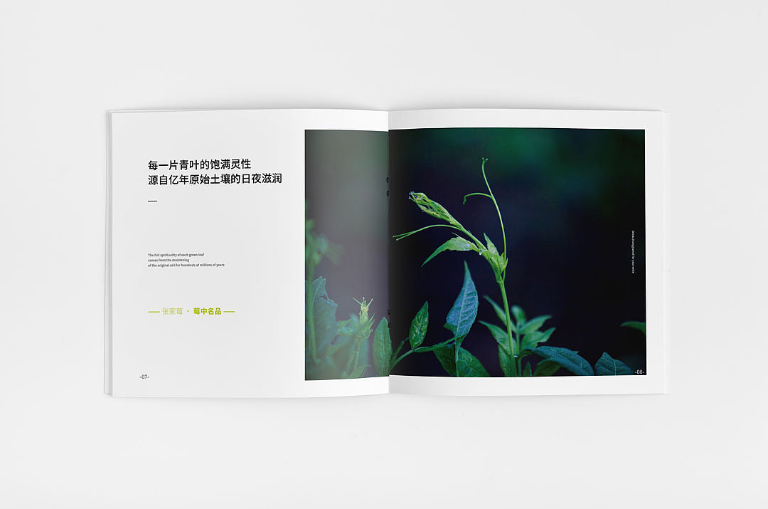茶叶-画册设计（图ZMjM5NzA1MDEy） - 书籍/画册 - 站酷设计师西瓜田里养过鱼原创素材 - 站酷ZCOOL