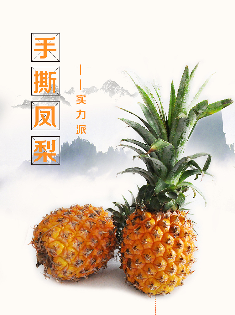 海南手撕凤梨详情页设计+牛奶木瓜海报（图ZNzgzNDY1MTI=） - 电商 - 站酷设计师SugarNO1原创素材 - 站酷ZCOOL