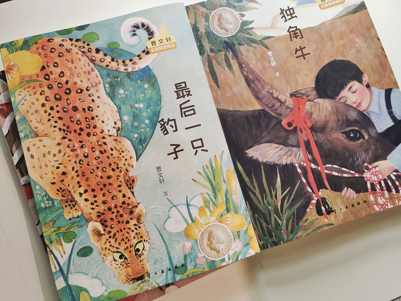 曹文轩儿童文学插画