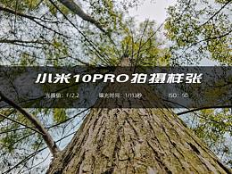 小米10pro拍摄样张