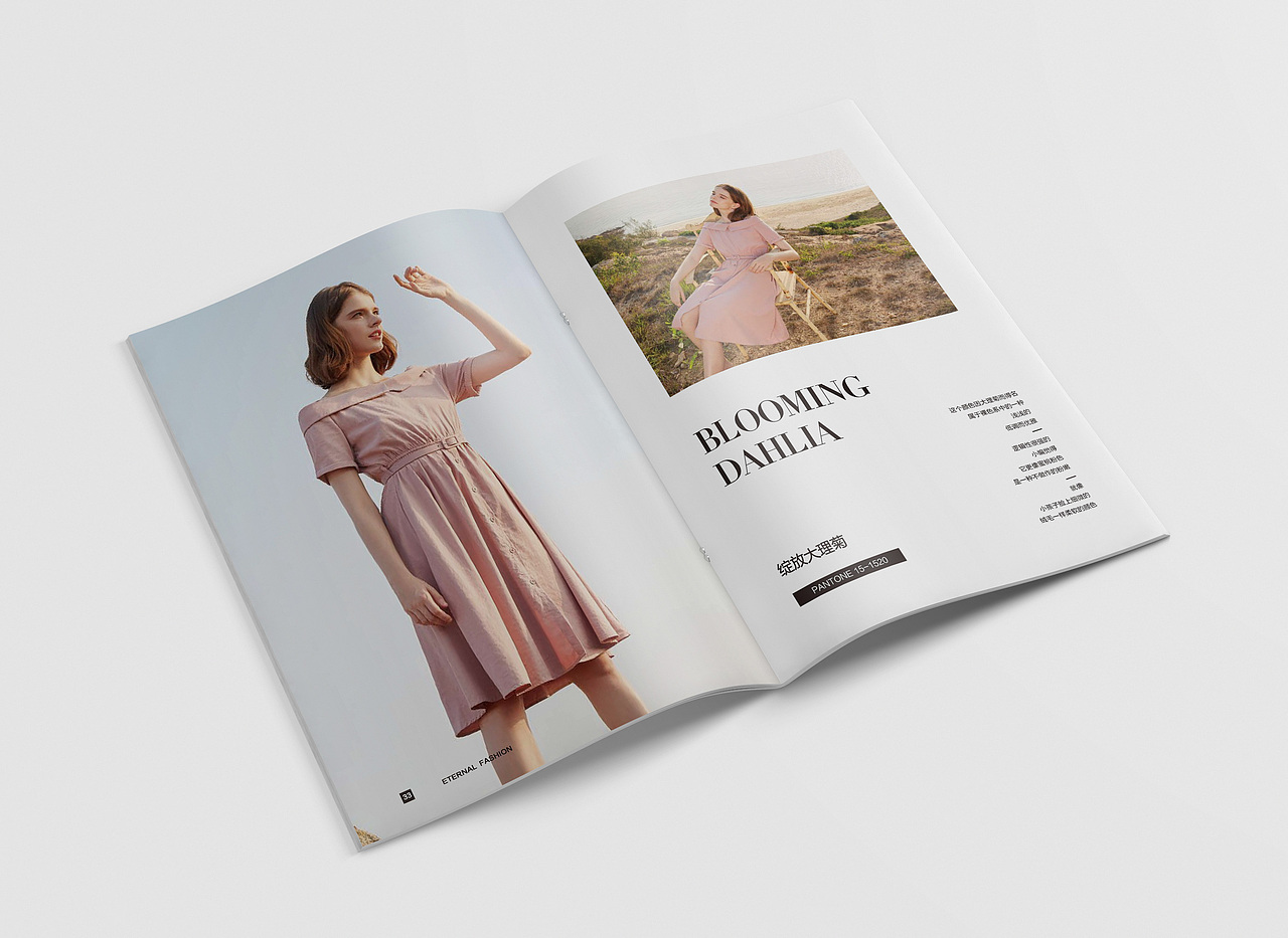 时装画册